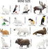 Toymany 14PCS Tiny Polar Animal Figurines, Plastic Arctic Animal Figure Set includes Polar Bear,Caribou,Penguin,Walrus, Wolf Figures, Cake Toppers...