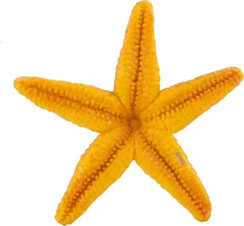 Safari Ltd. Starfish Figurine - Vibrant 4.5" Sea Star Figure - Educational Toy for Boys, Girls, and Kids Ages 3+...