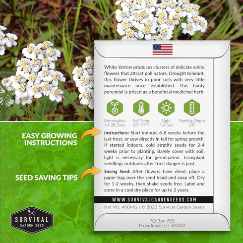 White Yarrow Seeds for Planting - 1 Packet with Instructions to Plant and Grow Beneficial Flowering Herbs in Your Home Vegetable Garden - Non-GMO ...