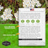 White Yarrow Seeds for Planting - 1 Packet with Instructions to Plant and Grow Beneficial Flowering Herbs in Your Home Vegetable Garden - Non-GMO ...