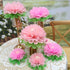 Pinks Flowers Decoration (11''-7'' Assorted) 6 pcs Artificial Tissue Paper Peony Nursery Wall Bridal Shower Centerpiece Baby Girl Birthday Tea Par...