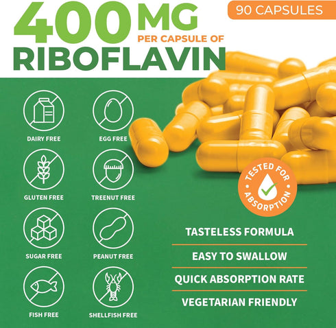ForestLeaf Vitamin B2 Riboflavin 400mg - Energy, Skin & Cellular Health Supplement - Nervous System Support - Vitamin B 2 VIT B - Non-GMO & Gluten...