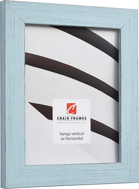 Craig Frames Jasper Picture Frame, 8 x 10 Inch, Country Sky Blue...