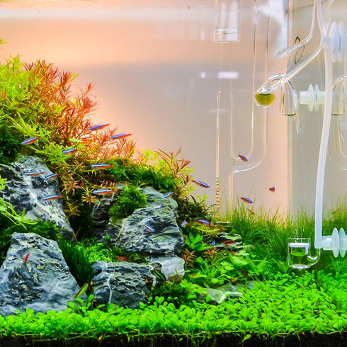 uxcell Aquarium Nozzle Plastic Pump Nozzles Water Outlet Return Pipe Plumbing Fitting Black 15mm/0.59" OD 1Pcs...