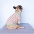 iChoue French Bulldog Summer Cooling High Stretchy Breathable Cotton T Shirts Vest Clothes for Medium Dogs Large Frenchie Pug English Pitbull Bost...
