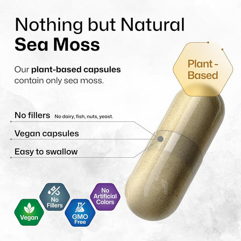 BIO KRAUTER Irish Sea Moss Capsules 1600 mg - 250 Count - Vegan Bladderwrack with Chondrus Crispus Sea Moss Supplement...