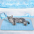 Portable Dog Cooling Mat, Washable Self-Cooling Ice Silk Cooling Mat, Pet Reusable Bed Mat for Indoor & Outdoor Pet Beach Essentials...