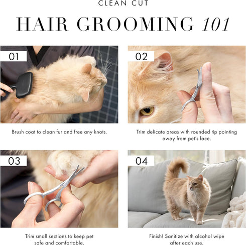 Tweezerman Dog and Cat Stainless Steel Safety Tip Grooming Scissors...