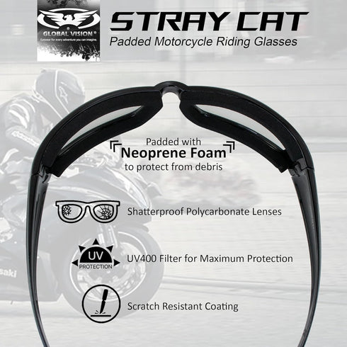 Global Vision Transition Stray Cat 24 Motorcycle Sunglasses With Clear to Smoke Anti-Fog Photochromic Lens...