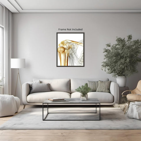 Posterizer 1 pcs-artistic illustration of the human shoulder joint 2-Teachers & Classrooms-Abstract & Modern Art-School and classroom art- unframe...