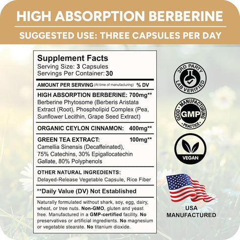 High Absorption Berberine Phytosome - 10X More Bioavailable | Weight Management & Metabolic Support for Women & Men | Ceylon Cinnamon + Green Tea ...