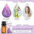 Lavender Essential Oil Single 100% Pure Natural Lavender Oil for Diffuser, Massage, Soap Making 10ML...