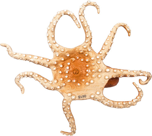 Safari Ltd. Octopus Figurine - Detailed 5" Plastic Model Figure - Fun Educational Play Toy for Boys, Girls & Kids Ages 3+...