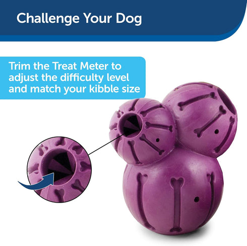 PetSafe Busy Buddy Barnacle - Dog Chew Toy - Treat Dispensing Dog Toys...