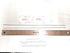 Lei Needle 14 inch 2/Pack...