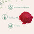 Organic Dragon Fruit Powder, 10oz | 100% Natural Fruit Powder | Freeze-Dried Pink Pitaya Source | No Sugar & Additives | Great Flavor for Drinks, ...