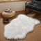 Ashler Faux Fur Rug, Fluffy White Small Sheepskin Rug, Ultra Soft 2x3 Ft Mat, Machine Washable Shag Mats, Nursery Throw for Bed, Living, Kids Room...