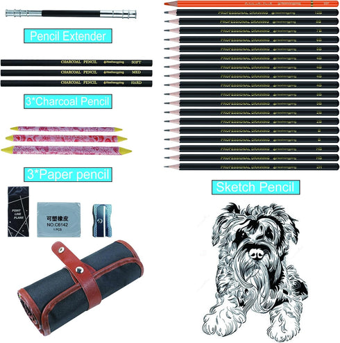 Sketching Pencil Set, Drawing Pen Charcoal Sketch Included Graphite Pencils, Charcoal Pencils, Paper Erasable Pen, 30pcs Total for Beginners Artis...
