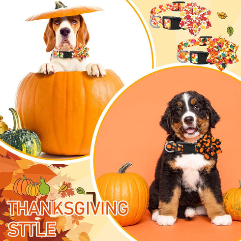 6 Pcs Fall Dog Collars for Dogs Adjustable Thanksgiving Dog Collar with Flower Pumpkin Floral Girl Dog Collar Turkey Maple Leaf Collars Dogs Acces...