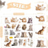 20 Pcs Cat Thick Gel Clings Kitten Window Gel Clings Decals Stickers for Kids Toddlers and Adults Cute Reusable Window Clings for Home Airplane Cl...