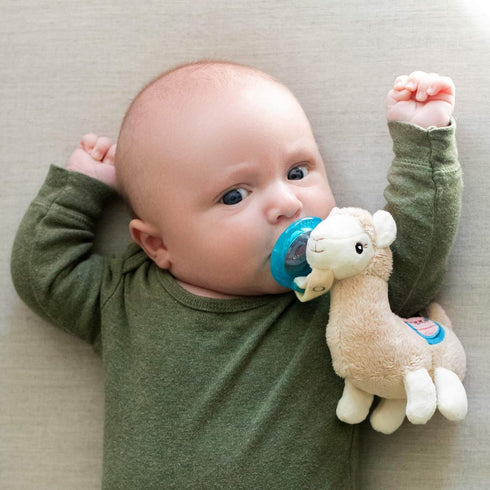 Nuby Soft Plush Pacifinder with Detachable Silicone Pacifier: 0-6 Months, Llama, Natural Cherry Shape, Multi, one Size...