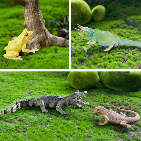 Toymany 12PCS Reptile Animal Figurine Toys Set, Cold Blooded Amphibians Desert Animal Figures with Komodo Dragon Lizard Snake Chameleon Rainforest...