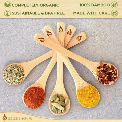 Golden Nature Bamboo Spoon Set (10 Pc), Small Kitchen Teaspoons, Tiny Wooden Spoons Perfect for Sugar, Spices, Seasoning, Coffee, Jam, Herbs, Hone...