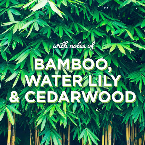 Bamboo & Waterlily Bliss PlugIns® Scented Oil 2 Refills...
