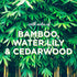 Bamboo & Waterlily Bliss PlugIns® Scented Oil 2 Refills...