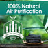 AIRJOI Bamboo Charcoal Air Purifying Bag (Single Unit), Activated Charcoal Odor Absorber, Natural Air Freshener Removes Odor and Moisture, Odor El...
