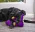 goDog Dinos Bruto Squeaky Plush Dog Toy, Chew Guard Technology - Purple, Large...