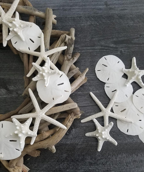 Tumbler Home Sand Dollars and Starfish for Crafts, 3 Real Starfish (4"-6") and 3 Sand Dollars (3"-3.5") in Bulk...