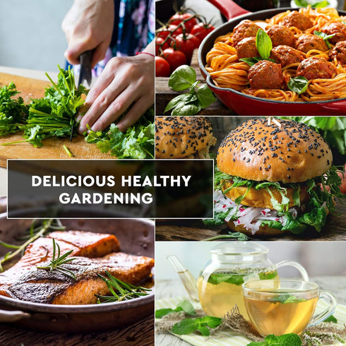 12 Culinary Herb Seeds Pack - Heirloom and Non GMO, Grown in USA - Indoor or Outdoor Garden - Basil, Parsley, Dill, Cilantro, Rosemary, Mint, Thym...