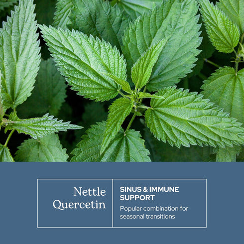 Eclectic Herb - Nettle Quercetin Capsules | Non-GMO, Vegan | 90 CT...