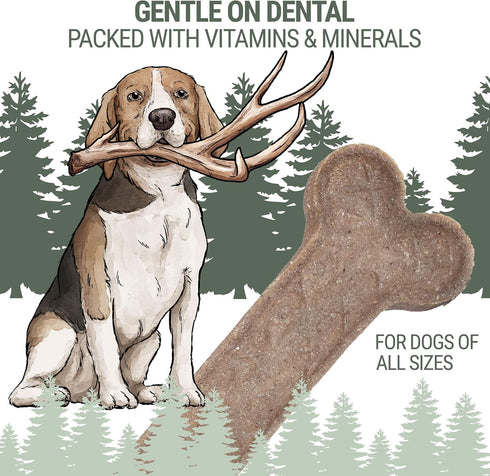 Antler and Himalayan Cheese Dog Chew | Long Lasting, Stain Free, Protein Rich, Low Odor | 100% Natural, Healthy & Safe | No Lactose, Gluten Or Gra...