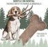 Antler and Himalayan Cheese Dog Chew | Long Lasting, Stain Free, Protein Rich, Low Odor | 100% Natural, Healthy & Safe | No Lactose, Gluten Or Gra...