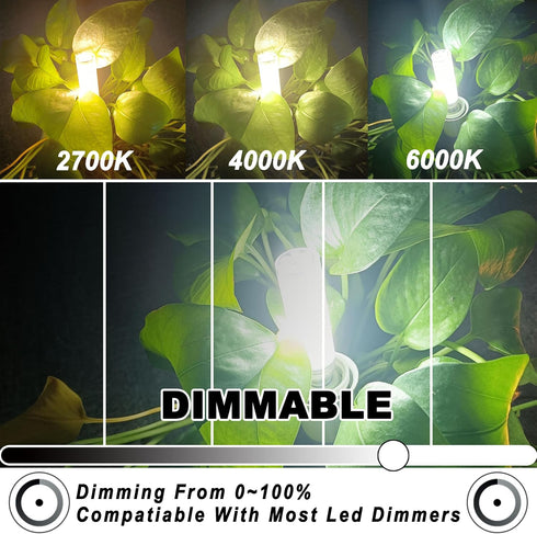 E11 Led Bulbs 120V 100W Halogen Candelabra Bulbs Equiva Dimmable,T3 T4 Mini Base JDE11 Bulb,6000K Daylight Cool White 10W 1000LM E11 for Chandelie...