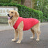 Lovelonglong 2019 Summer Pet Clothing, Dog Clothes Blank T-Shirts Ribbed Tanks Top Thread Vests for Large Medium Small Dogs 100% Cotton Red L-L...