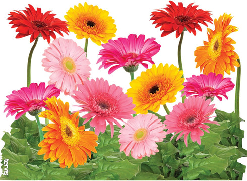 Tervis Gerbera Daisies Made in USA Double Walled Insulated Tumbler Travel Cup Keeps Drinks Cold & Hot, 24oz, Classic...