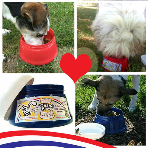 ‘Ohana Bowl - The Portable Travel Dog Bowl with a Twist Cap Lid...