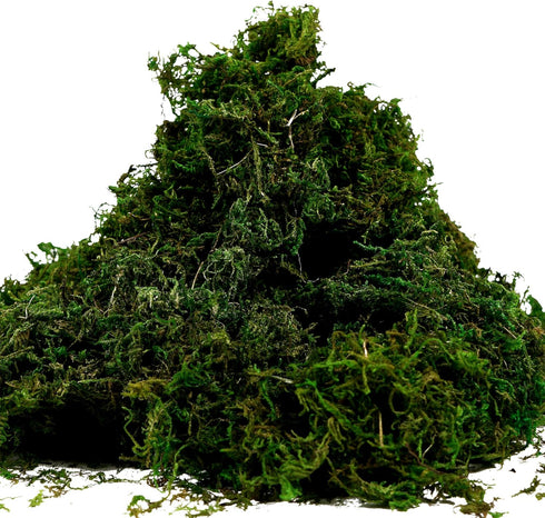 BYHER Artificial Moss Fake Green Grass for Centerpieces Home Kitchen Garden Decor (3.5OZ, Fresh)...