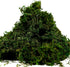 BYHER Artificial Moss Fake Green Grass for Centerpieces Home Kitchen Garden Decor (3.5OZ, Fresh)...