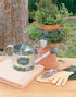 Delta Creative Paint Pots Set with Paint and Brush for Outdoors, (16 Colors)...
