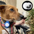 Bud Cases | Case for Pets or Bags | Compatible The Apple Product | Fits Most Dog or Cat Collars or Bag Straps | Locate Lost Animal or Bag (One, Bl...