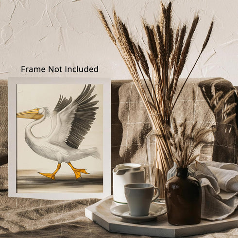Posterizer 1 pcs-White Pelican detailed art work 4-Art for Animal Lovers-Collectibles & Fine Art-Decor for Home & Office- unframed wall art...