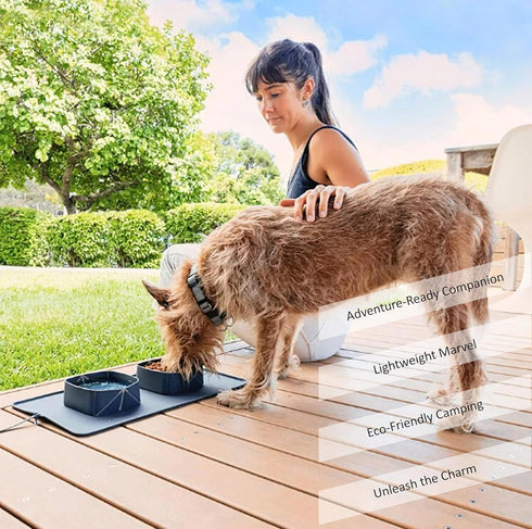 Generic Portable Pet Feeder, Silicone Bowls for Dog and Cat Travel, Collapsible Dish for Food and Water, 2-in-1 Solution with Adjustable Bow Ties...