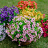Artificial Flowers for Outdoors Fake Plants - 16 Bundles Faux Outside Greenery Boxwood No Fade Plastic Shrubs Fall Decor Farmhouse Home Garden Tha...
