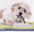 Downtown Pet Supply - Bully Sticks for Dogs - Dog Dental Treats & Rawhide-Free Dog Chews - Dog Treats with Protein, Vitamins & Minerals- Natural B...
