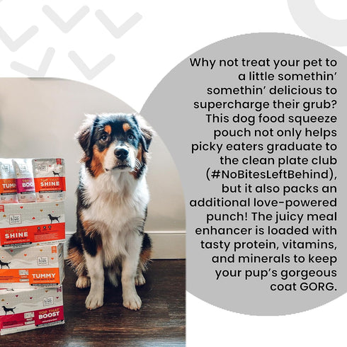 "I and love and you" Top That Tummy Wet Dog Food Pouch, Chicken Recipe In Gravy, 3 oz (Pack of 12)...