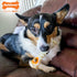 Nylabone Power Chew Souper Bone Pop-in Treat Toy with Treat Refills, Treat Dispensing Toys for Dogs, Durable Treat Pouch, Chicken Flavor, Medium/W...